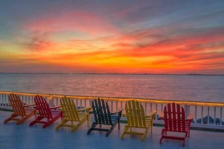 The Hemingway Subtropical Luxury On The Tampa Bayヴィラ エクステリア 写真